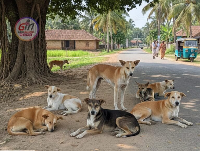 3 ലക്ഷത്തോളം തെരുവുനായ്ക്കളെ ഷെൽട്ടർ ഹോമുകളിലേക്ക് മാറ്റുമെന്ന് കർണാടക സർക്കാർ